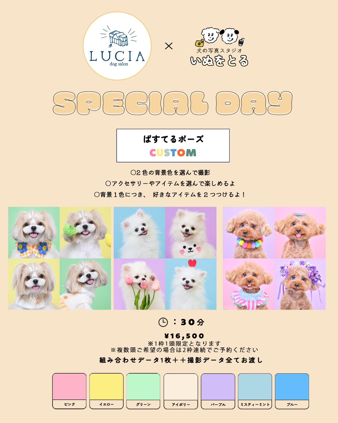 inuwotoru撮影会イベント